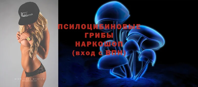 продажа наркотиков  Камызяк  Псилоцибиновые грибы Psilocybine cubensis 